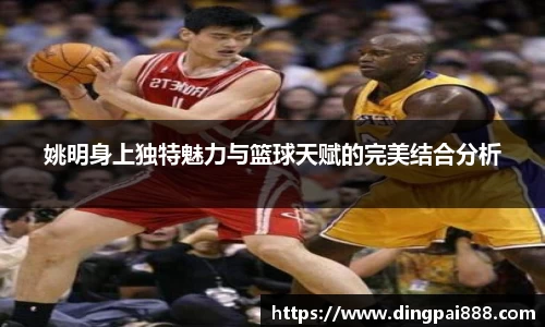 姚明身上独特魅力与篮球天赋的完美结合分析