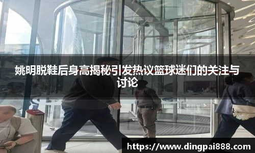 姚明脱鞋后身高揭秘引发热议篮球迷们的关注与讨论